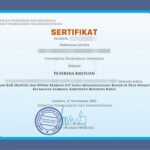 Sertifikat Dyla-pages-images-19