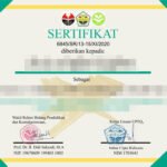 Sertifikat Dyla-pages-images-25